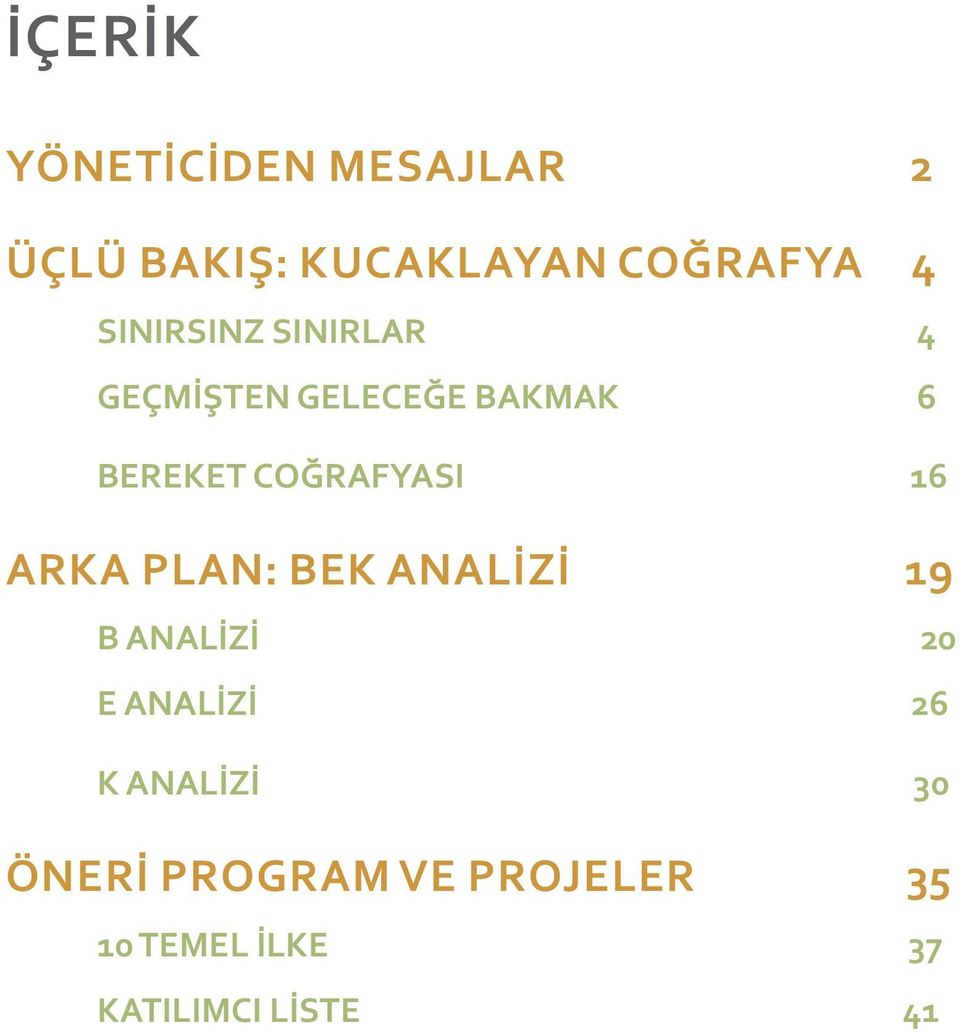 COĞRAFYASI 16 ARKA PLAN: BEK ANALİZİ 19 B ANALİZİ 20 E ANALİZİ 26