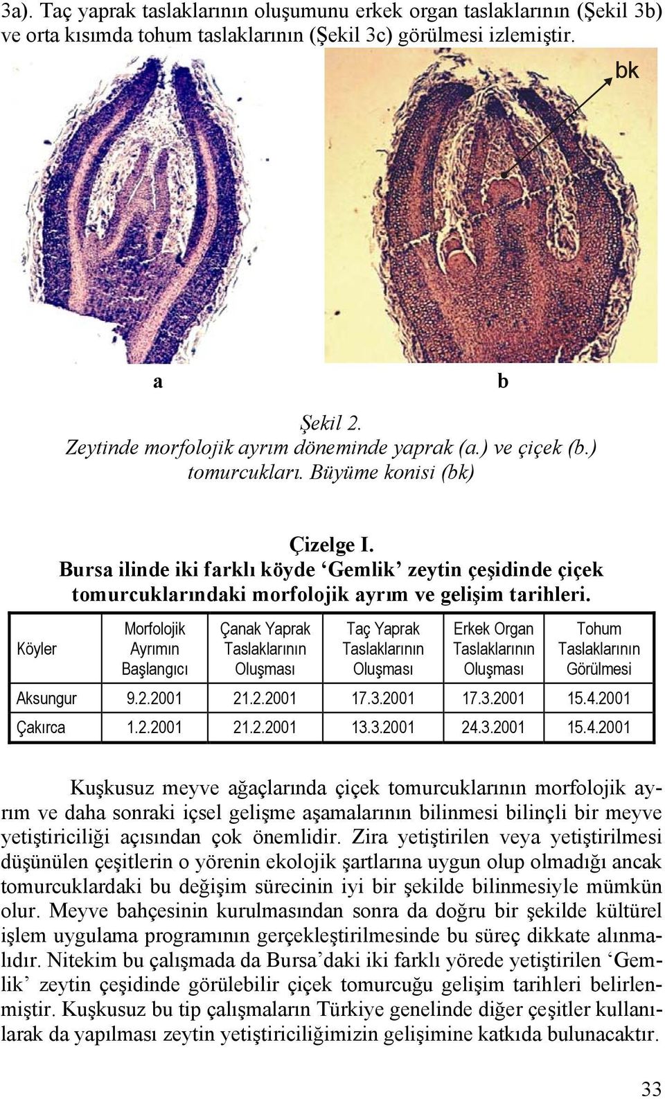 Bursa ilinde iki farklı köyde Gemlik zeytin çeşidinde çiçek tomurcuklarındaki morfolojik ayrım ve gelişim tarihleri.