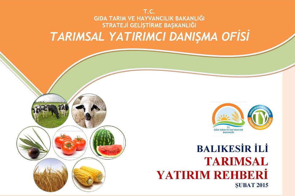 BAŞKANLIĞI TARIMSAL YATIRIMCI DANIŞMA