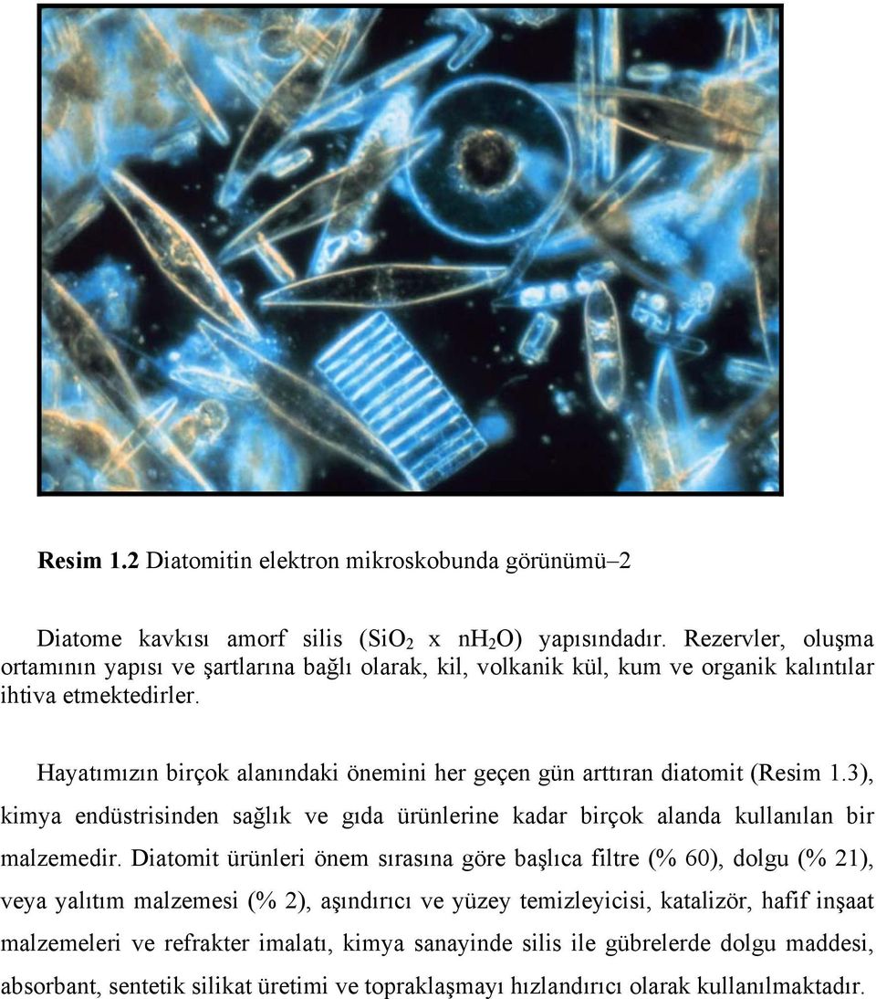 Hayatımızın birçok alanındaki önemini her geçen gün arttıran diatomit (Resim 1.3), kimya endüstrisinden sağlık ve gıda ürünlerine kadar birçok alanda kullanılan bir malzemedir.