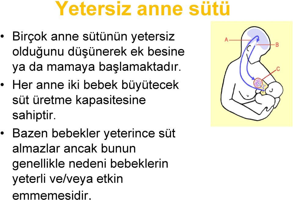 Her anne iki bebek büyütecek süt üretme kapasitesine sahiptir.