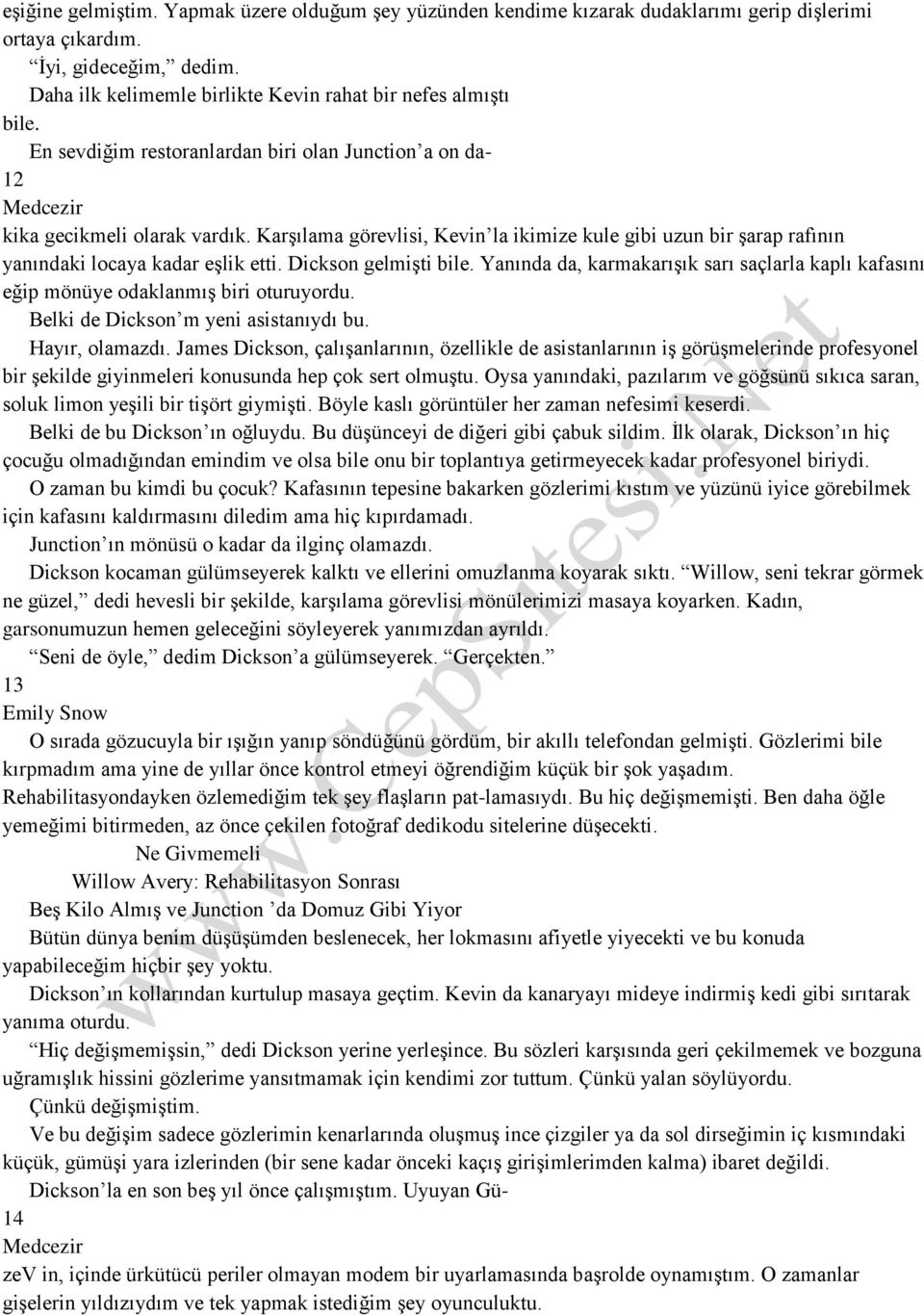 Dickson gelmişti bile. Yanında da, karmakarışık sarı saçlarla kaplı kafasını eğip mönüye odaklanmış biri oturuyordu. Belki de Dickson m yeni asistanıydı bu. Hayır, olamazdı.