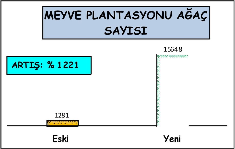 AĞAÇ SAYISI