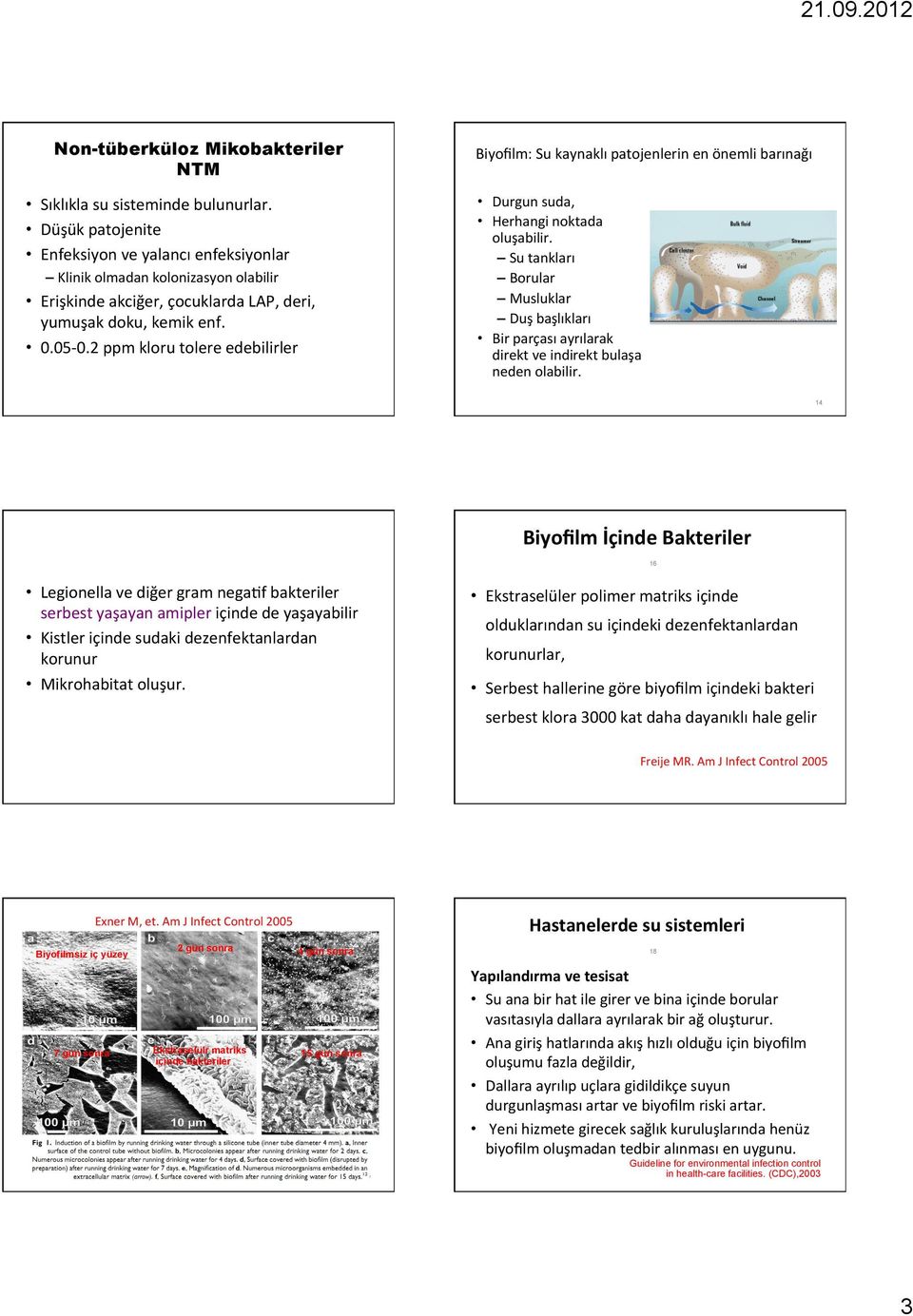 2 ppm kloru tolere edebilirler Biyofilm: Su kaynaklı patojenlerin en önemli barınağı Durgun suda, Herhangi noktada oluşabilir.