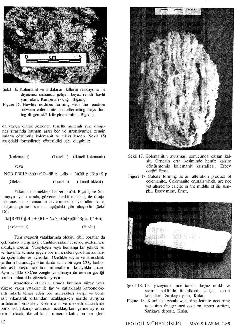 da yaygın olarak gözlenen tunellk minerali yine diyajenez sırasında katman arası bor ve stronsiyumca zengin sularla çözülmüş kolemanit ve üleksillerden (Şekil 15) aşağıdaki formollerde gösterildiği
