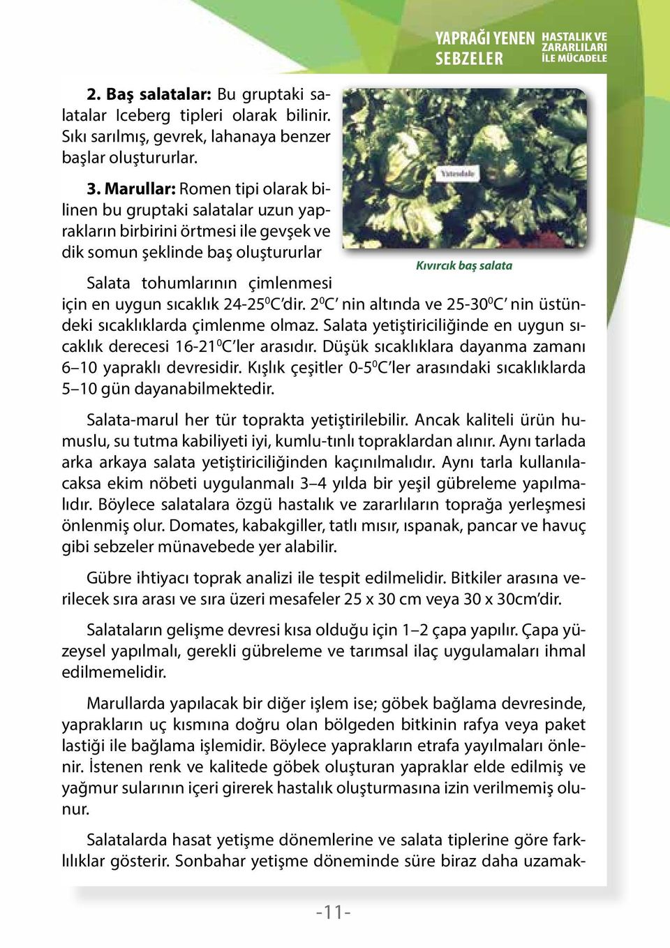 tohumlarının çimlenmesi için en uygun sıcaklık 24-25 0 C dir. 2 0 C nin altında ve 25-30 0 C nin üstündeki sıcaklıklarda çimlenme olmaz.