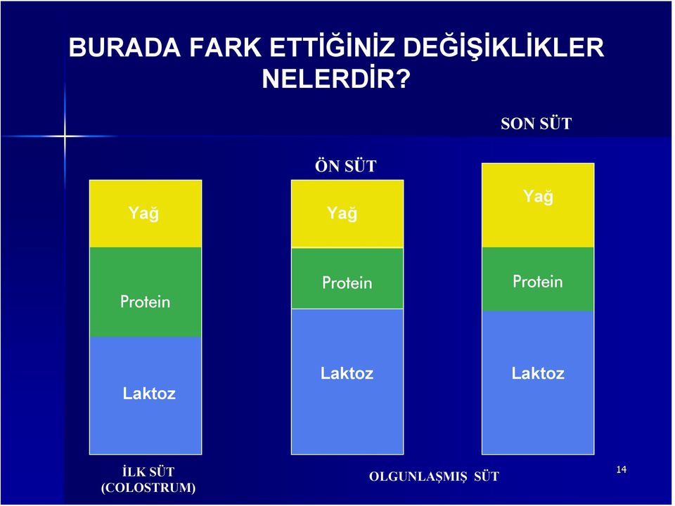 ÖN SÜT SON SÜT Yağ Yağ Yağ Protein