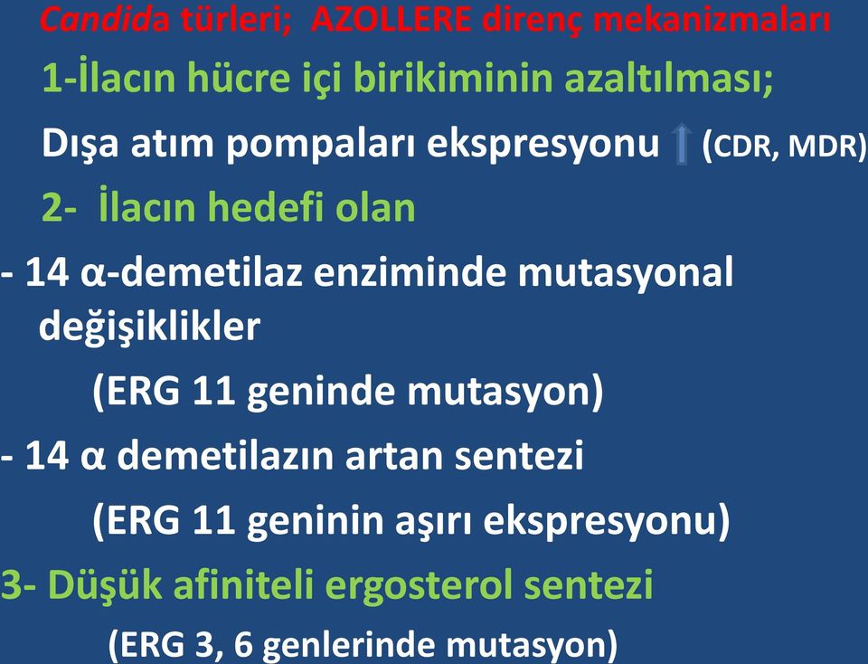 mutasyonal değişiklikler (ERG 11 geninde mutasyon) - 14 α demetilazın artan sentezi (ERG 11