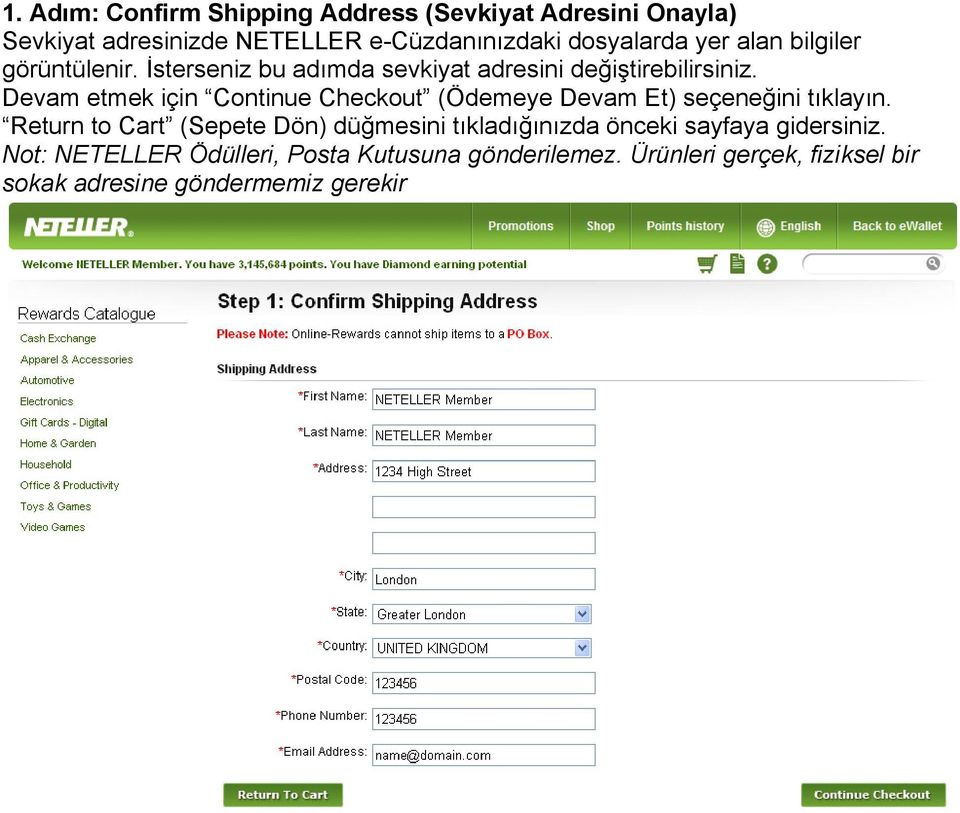 Devam etmek için Continue Checkout (Ödemeye Devam Et) seçeneğini tıklayın.