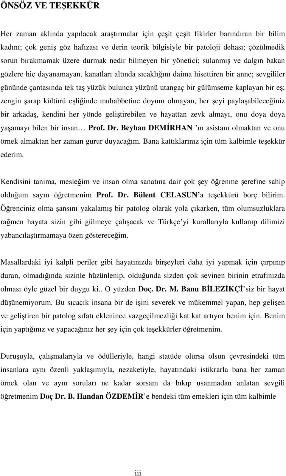 taş yüzük bulunca yüzünü utangaç bir gülümseme kaplayan bir eş; zengin şarap kültürü eşliğinde muhabbetine doyum olmayan, her şeyi paylaşabileceğiniz bir arkadaş, kendini her yönde geliştirebilen ve