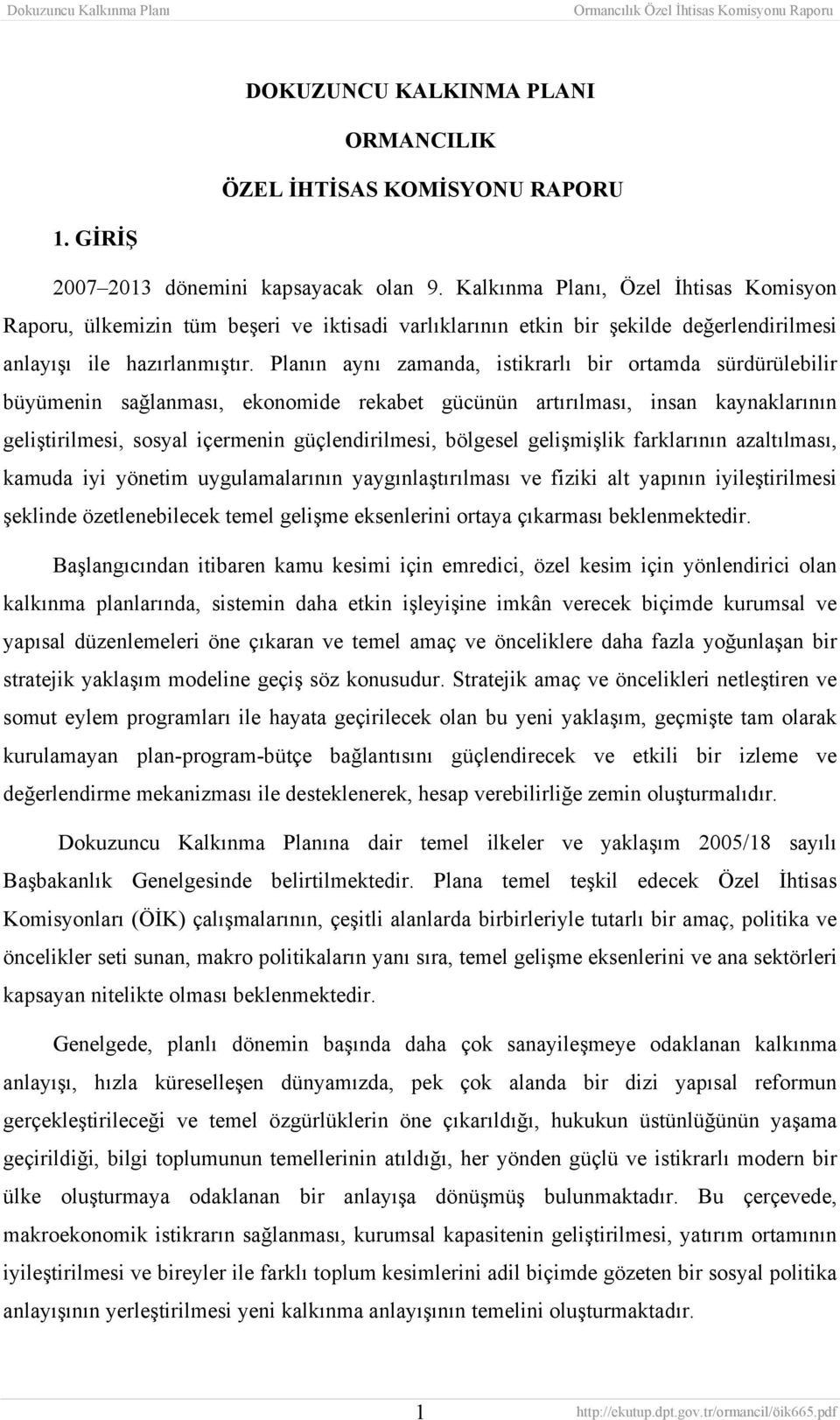 Planın aynı zamanda, istikrarlı bir ortamda sürdürülebilir büyümenin sağlanması, ekonomide rekabet gücünün artırılması, insan kaynaklarının geliştirilmesi, sosyal içermenin güçlendirilmesi, bölgesel