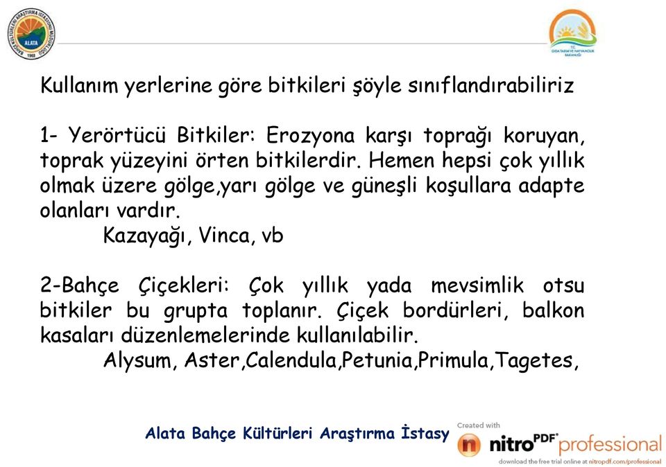 Kazayağı, Vinca, vb 2-Bahçe Çiçekleri: Çok yıllık yada mevsimlik otsu bitkiler bu grupta toplanır.