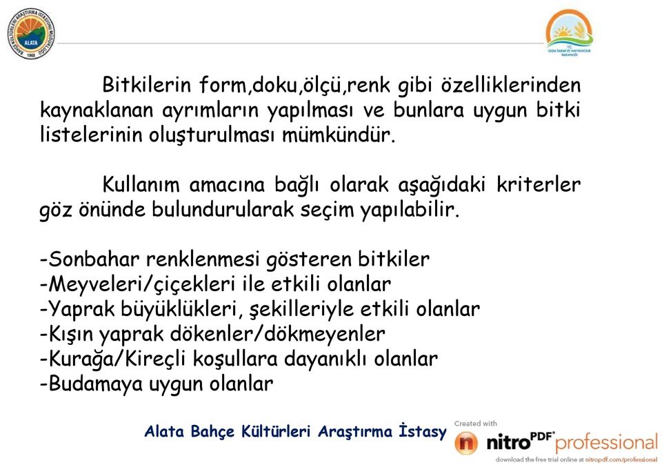 -Sonbahar renklenmesi gösteren bitkiler -Meyveleri/çiçekleri ile etkili olanlar -Yaprak büyüklükleri, şekilleriyle etkili