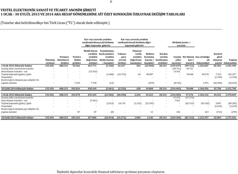 yeniden değerleme ölçüm kazanç artışları / kayıpları Yabancı para çevrim farkları Finansal varlık yeniden değerleme kazançları Riskten korunma kazanç / kayıpları Kardan ayrılan kısıtlanmış yedekler