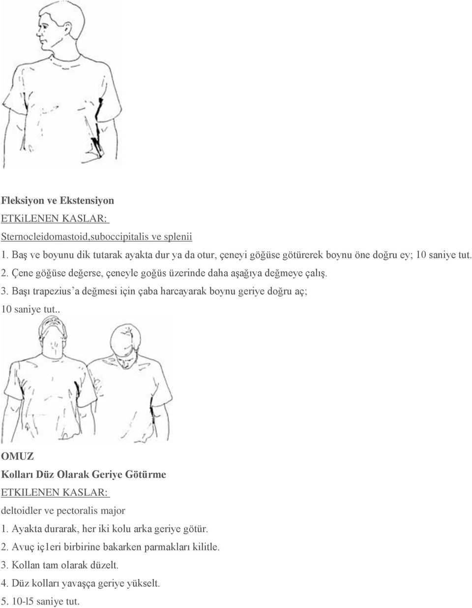 Çene göğüse değerse, çeneyle goğüs üzerinde daha aşağıya değmeye çalış. 3. Başı trapezius a değmesi için çaba harcayarak boynu geriye doğru aç; 10 saniye tut.