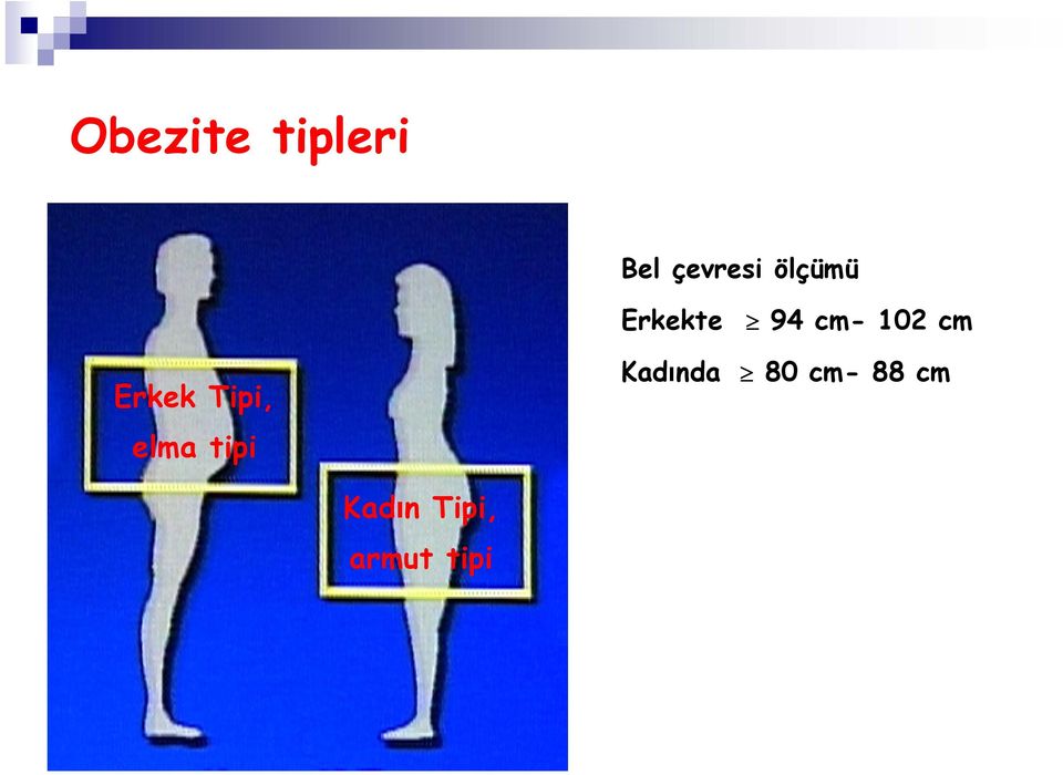 Erkek Tipi, elma tipi Kadında