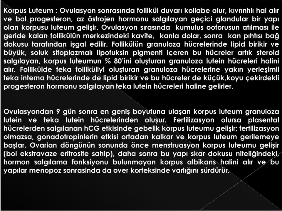 Follikülün granuloza hücrelerinde lipid birikir ve büyük, soluk sitoplazmalı lipofuksin pigmenti içeren bu hücreler artık steroid salgılayan, korpus luteumun % 80 ini oluşturan granuloza lutein