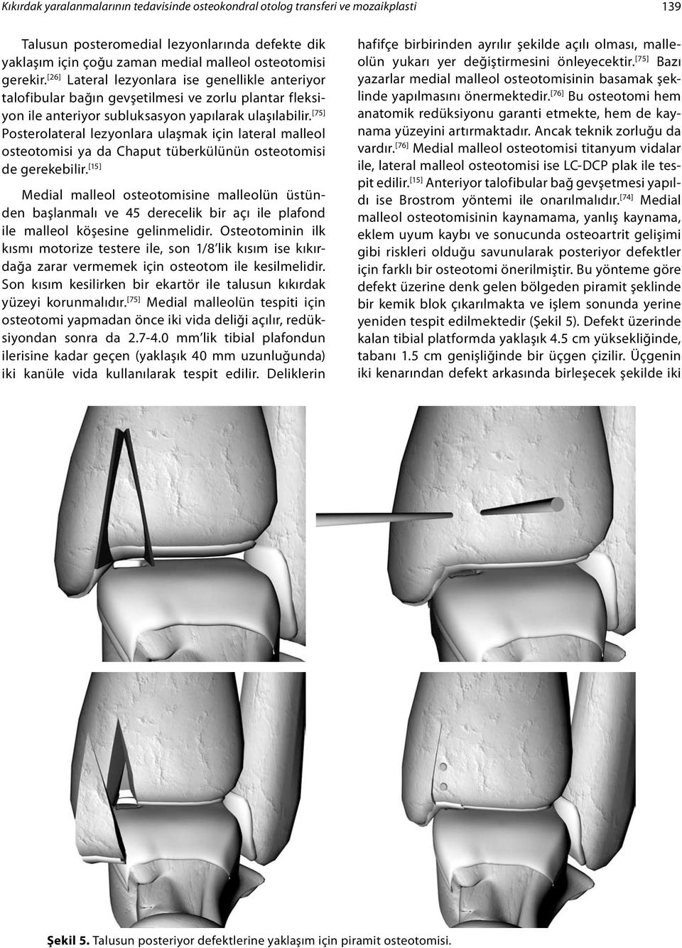 [75] Posterolateral lezyonlara ulaşmak için lateral malleol osteotomisi ya da Chaput tüberkülünün osteotomisi de gerekebilir.