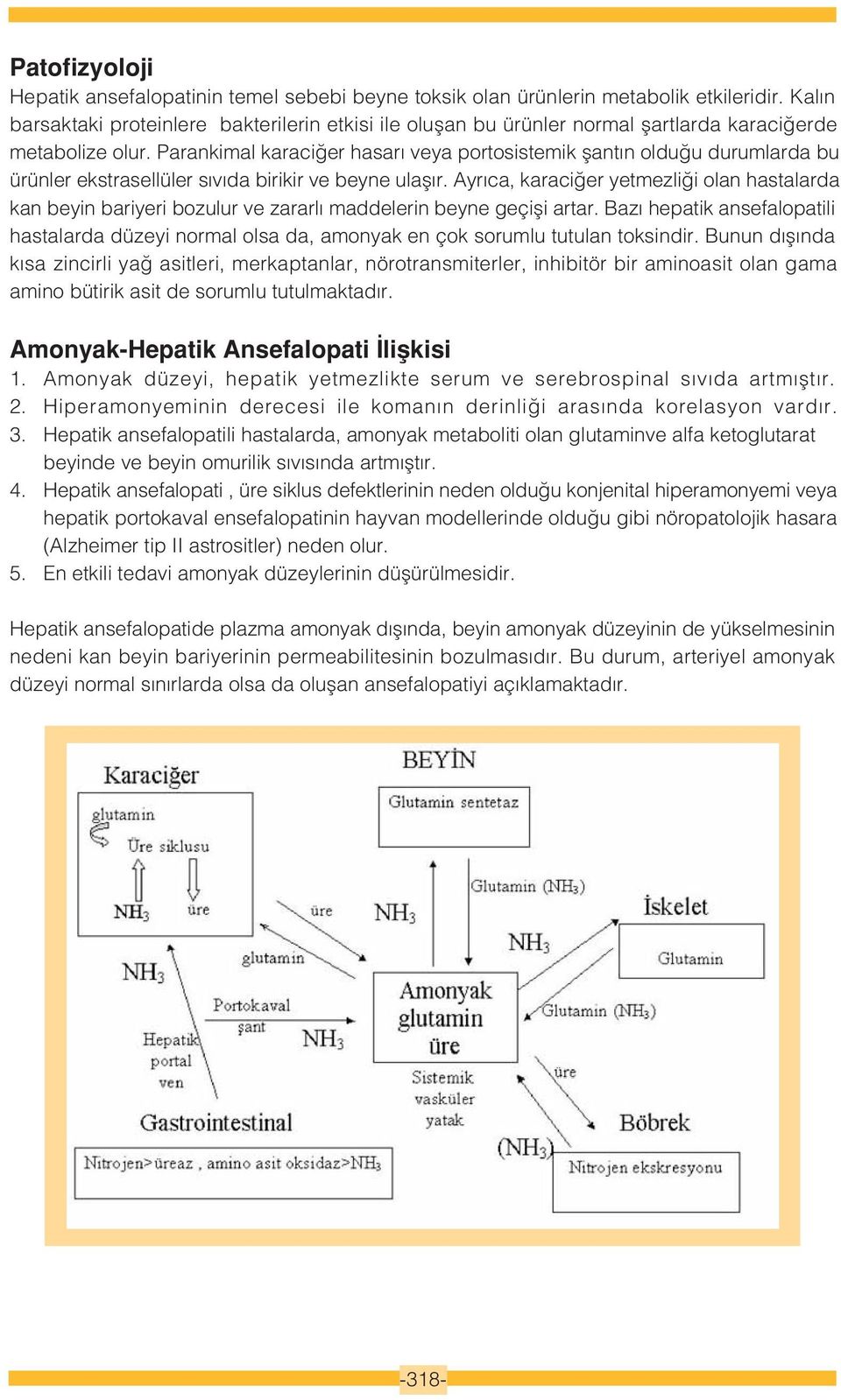 Parankimal karaci er hasar veya portosistemik flant n oldu u durumlarda bu ürünler ekstrasellüler s v da birikir ve beyne ulafl r.