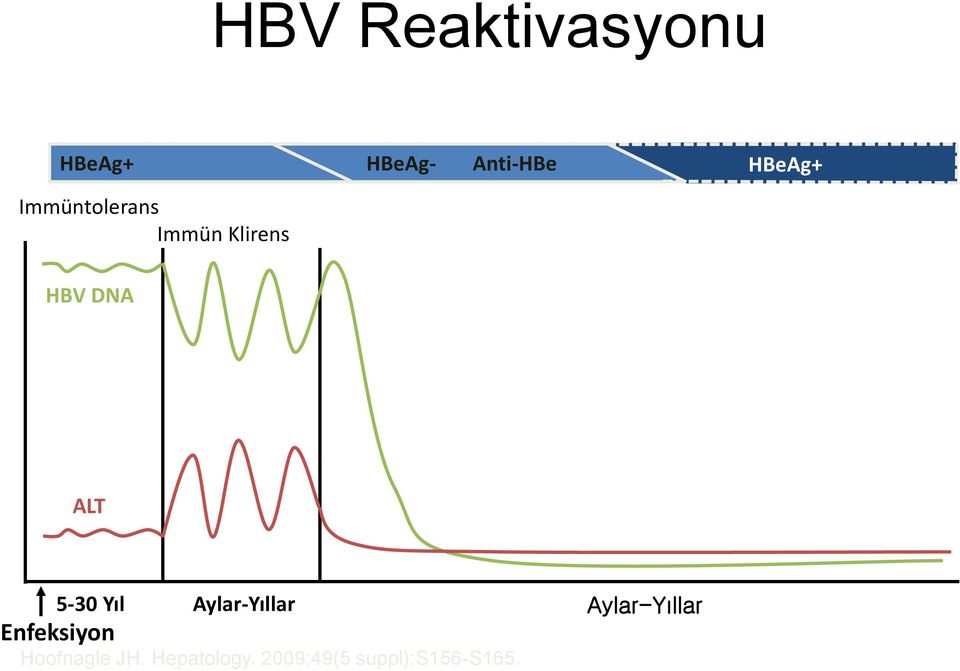 5-30 Yıl Aylar-Yıllar Enfeksiyon Hoofnagle JH.