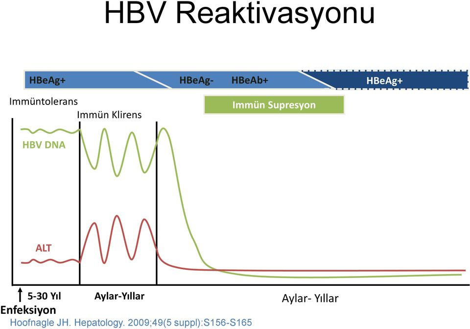 DNA ALT 5-30 Yıl Aylar-Yıllar Enfeksiyon Hoofnagle