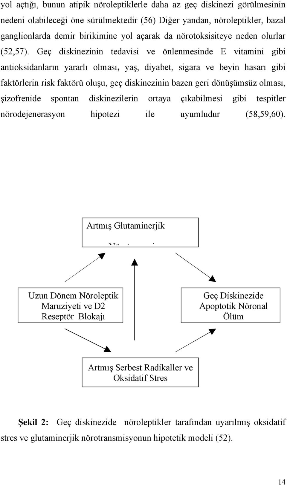 Geç diskinezinin tedavisi ve önlenmesinde E vitamini gibi antioksidanların yararlı olması, yaş, diyabet, sigara ve beyin hasarı gibi faktörlerin risk faktörü oluşu, geç diskinezinin bazen geri