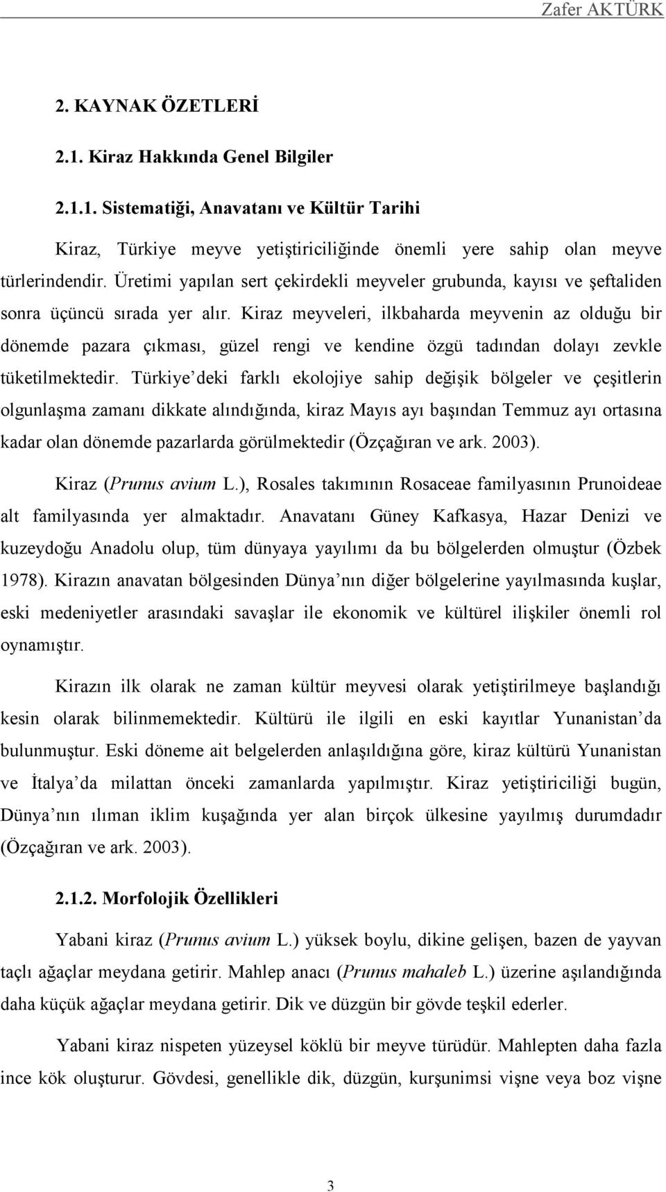 Kiraz meyveleri, ilkbaharda meyvenin az olduğu bir dönemde pazara çıkması, güzel rengi ve kendine özgü tadından dolayı zevkle tüketilmektedir.