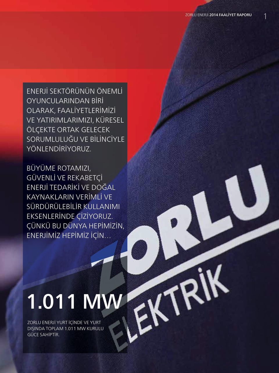 BÜYÜME ROTAMIZI, GÜVENLİ VE REKABETÇİ ENERJİ TEDARİKİ VE DOĞAL KAYNAKLARIN VERİMLİ VE SÜRDÜRÜLEBİLİR