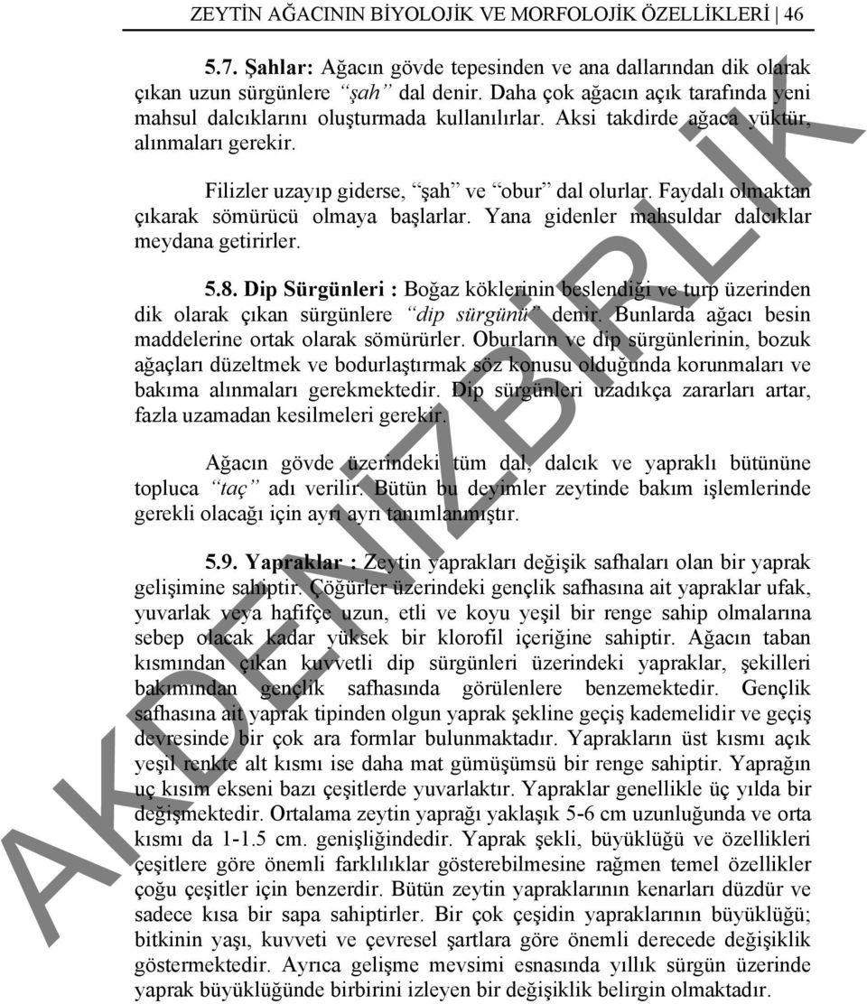 Faydalı olmaktan çıkarak sömürücü olmaya başlarlar. Yana gidenler mahsuldar dalcıklar meydana getirirler. 5.8.