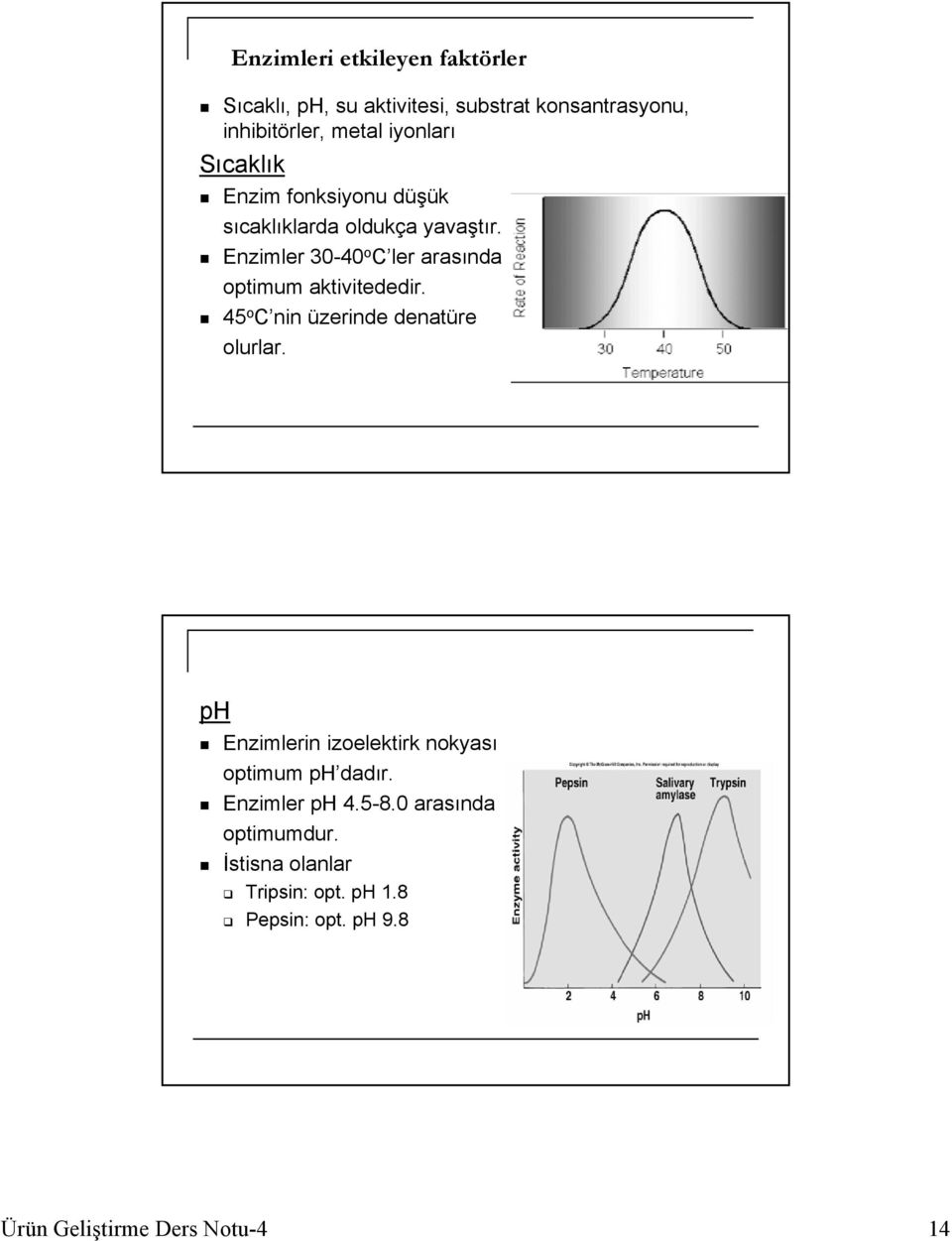 Enzimler 30-40 o C ler arasında optimum aktivitededir. 45 o C nin üzerinde denatüre olurlar.
