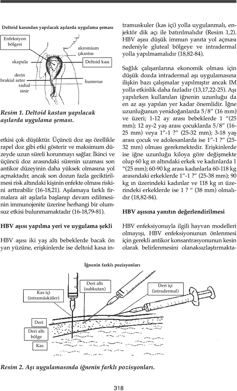 İkinci ve üçüncü doz arasındaki sürenin uzaması son antikor düzeyinin daha yüksek olmasına yol açmaktadır, ancak son dozun fazla geciktirilmesi risk altındaki kişinin enfekte olması riskini