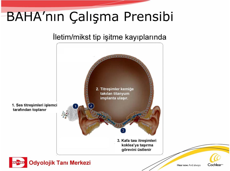 Ses titreşimleri işlemci tarafından toplanır 2.