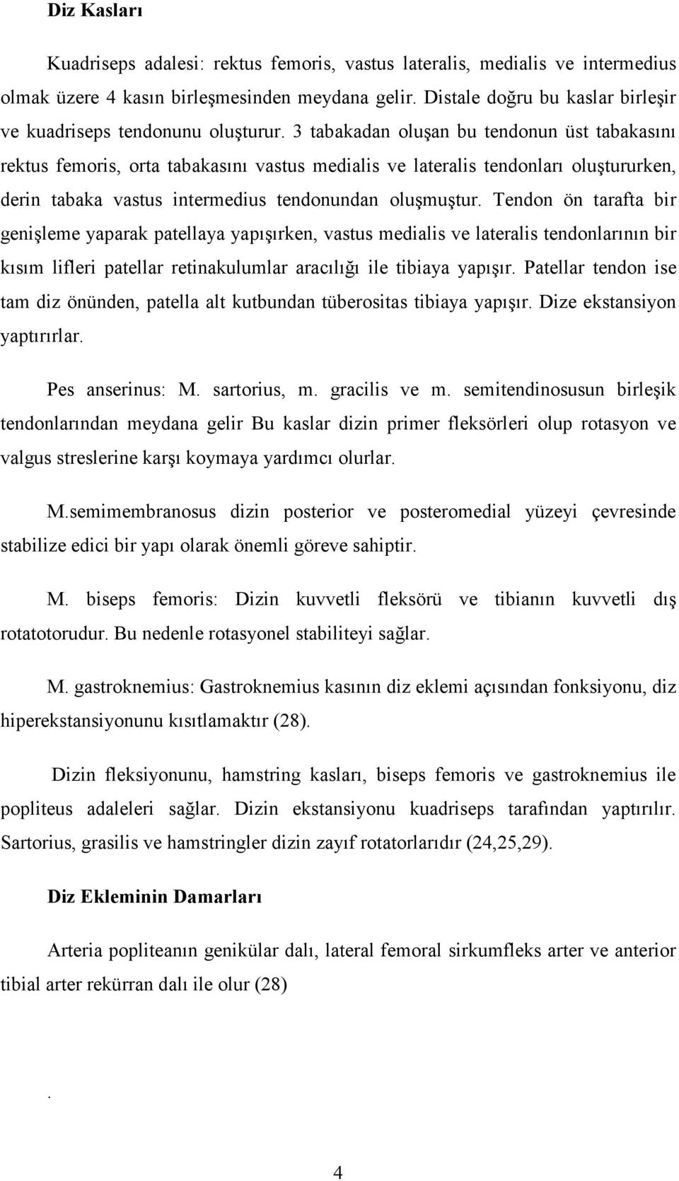 3 tabakadan oluşan bu tendonun üst tabakasını rektus femoris, orta tabakasını vastus medialis ve lateralis tendonları oluştururken, derin tabaka vastus intermedius tendonundan oluşmuştur.