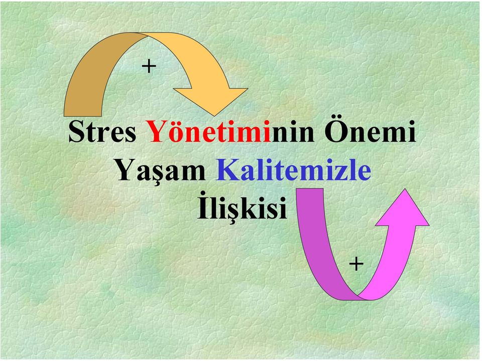 Önemi Yaşam