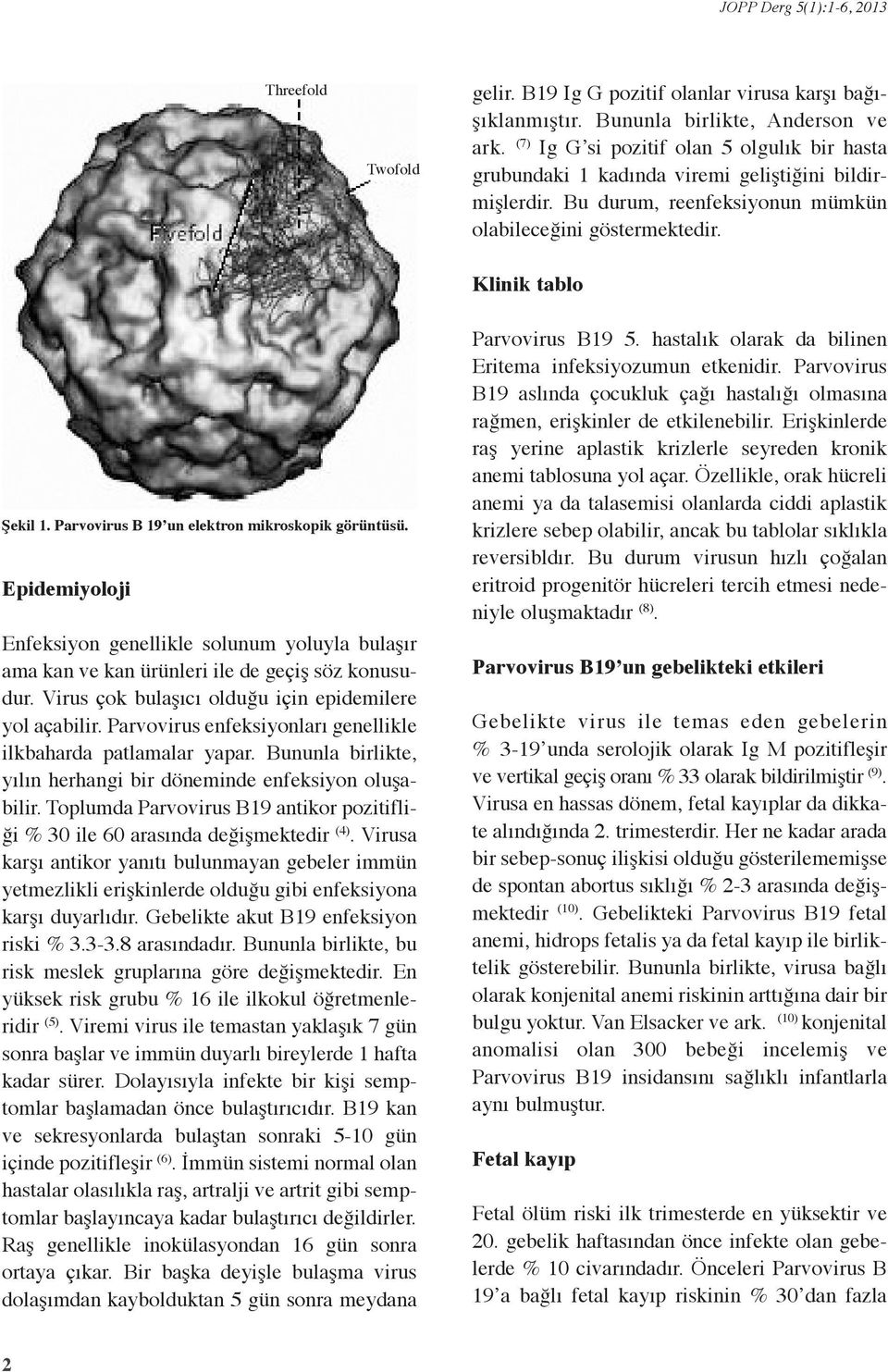 Parvovirus B 19 un elektron mikroskopik görüntüsü. Epidemiyoloji Enfeksiyon genellikle solunum yoluyla bulaşır ama kan ve kan ürünleri ile de geçiş söz konusudur.