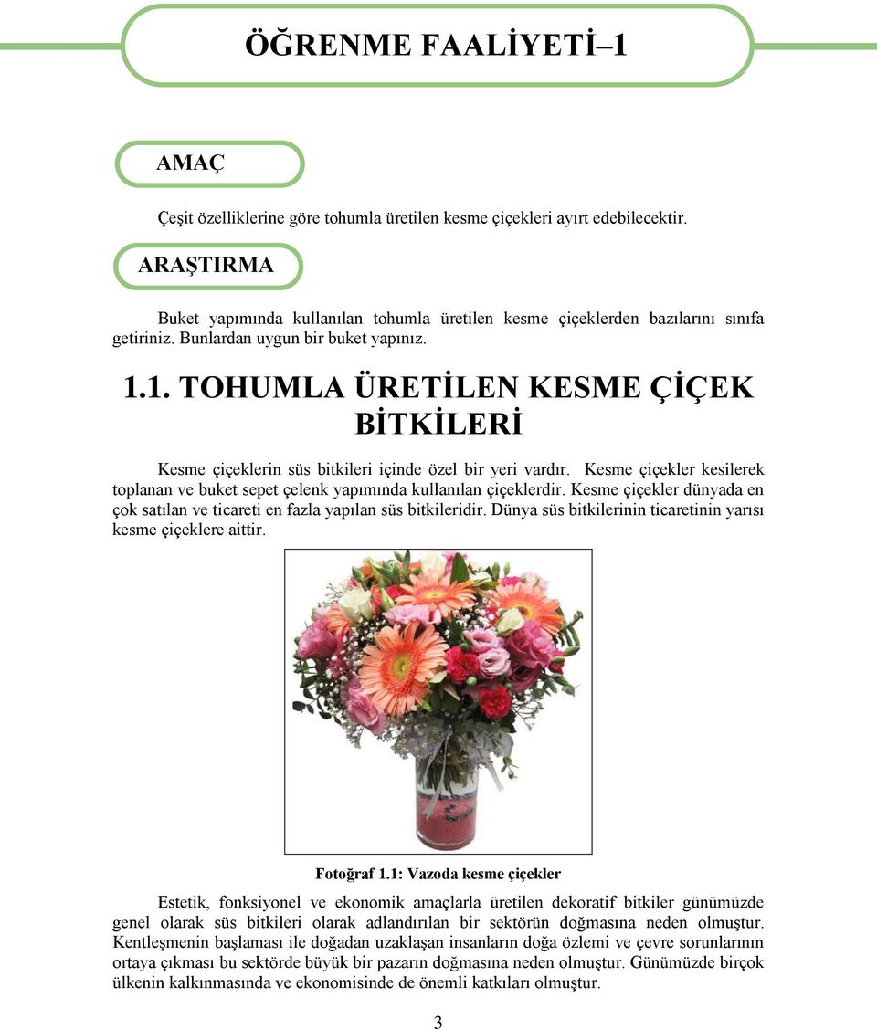 1. TOHUMLA ÜRETİLEN KESME ÇİÇEK BİTKİLERİ Kesme çiçeklerin süs bitkileri içinde özel bir yeri vardır. Kesme çiçekler kesilerek toplanan ve buket sepet çelenk yapımında kullanılan çiçeklerdir.