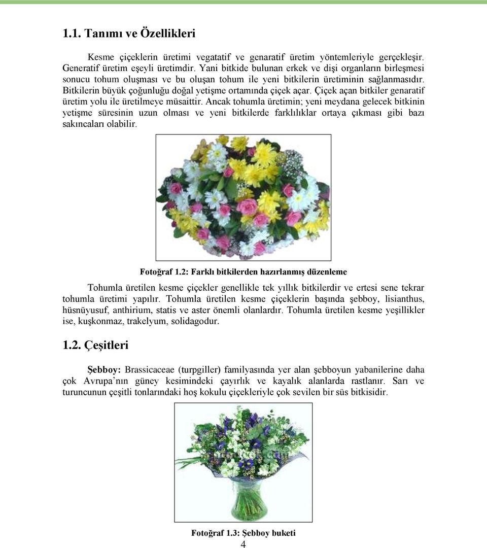 Bitkilerin büyük çoğunluğu doğal yetişme ortamında çiçek açar. Çiçek açan bitkiler genaratif üretim yolu ile üretilmeye müsaittir.