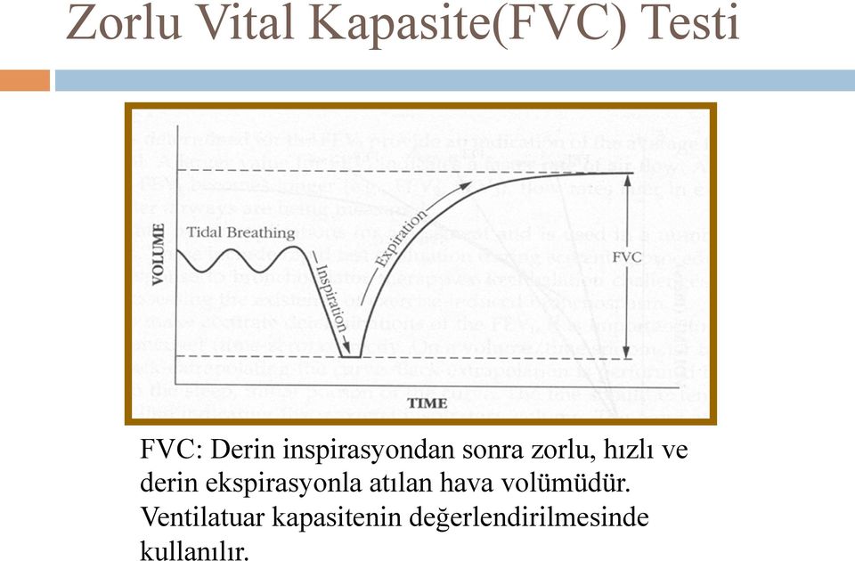 ekspirasyonla atılan hava volümüdür.