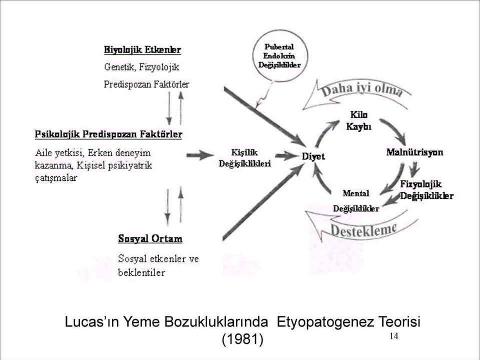 Bozukluklarında