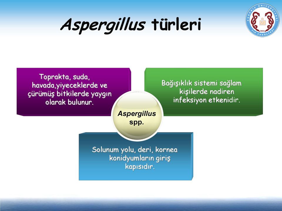 Bağışıklık sistemi sağlam kişilerde nadiren infeksiyon