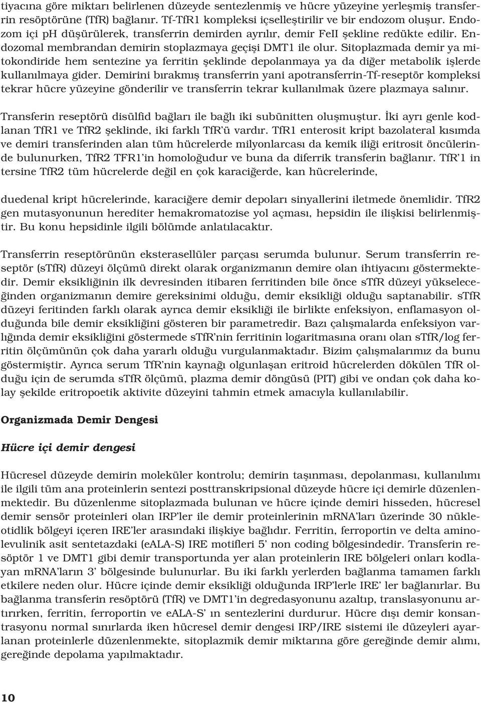 Sitoplazmada demir ya mitokondiride hem sentezine ya ferritin fleklinde depolanmaya ya da di er metabolik ifllerde kullan lmaya gider.