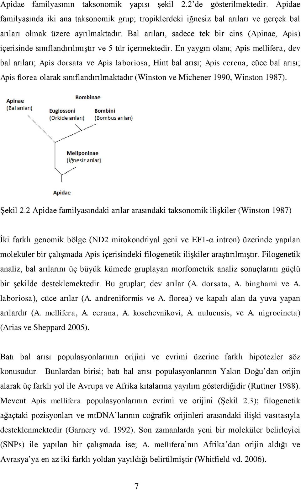 En yaygın olanı; Apis mellifera, dev bal arıları; Apis dorsata ve Apis laboriosa, Hint bal arısı; Apis cerena, cüce bal arısı; Apis florea olarak sınıflandırılmaktadır (Winston ve Michener 199,