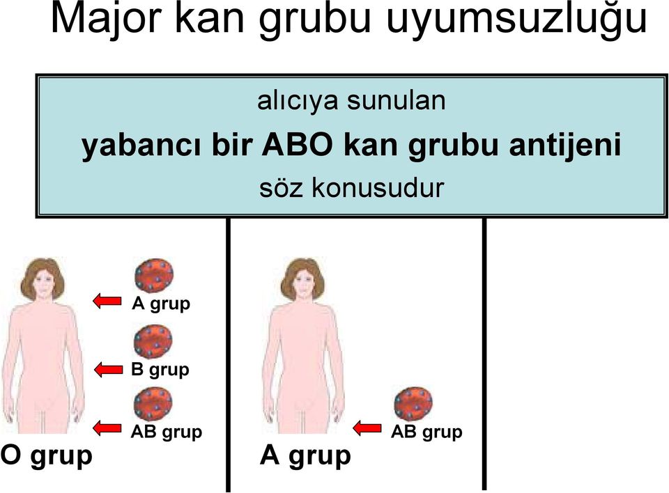 kan grubu antijeni söz konusudur