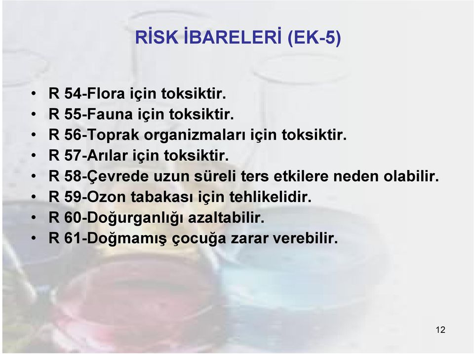 R 58-Çevrede uzun süreli ters etkilere neden olabilir.