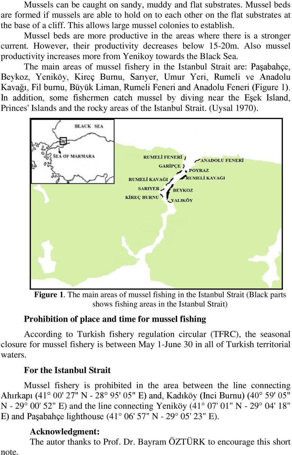 Also mussel productivity increases more from Yenikoy towards the Black Sea.