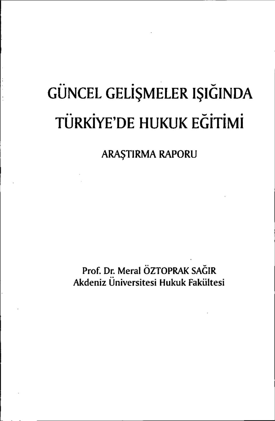 ARAŞTIRMA RAPORU Prof. Dr.