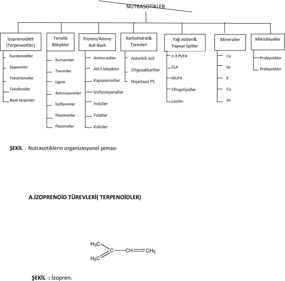 Prebiyotikler Tokotrienoller Lignin Kapsaisinoitler Nişastasız PS MUFA K Tokoferoller Antrosiyaninler İzotiyosiyanatlar Sfingolipidler Cu Basit terpenler