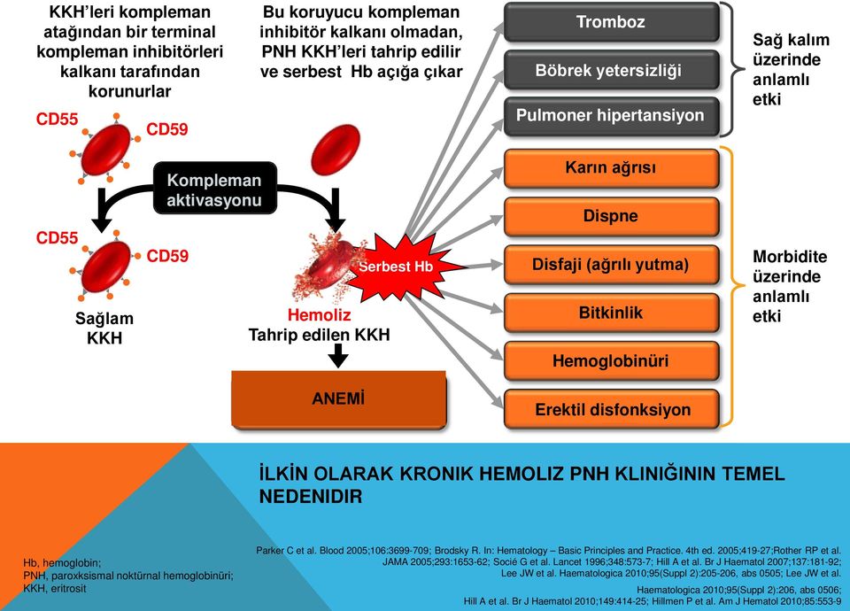 Disfaji (ağrılı yutma) Bitkinlik Hemoglobinüri Morbidite üzerinde anlamlı etki ANEMİ Erektil disfonksiyon İLKİN OLARAK KRONIK HEMOLIZ PNH KLINIĞININ TEMEL NEDENIDIR Hb, hemoglobin; PNH, paroxksismal