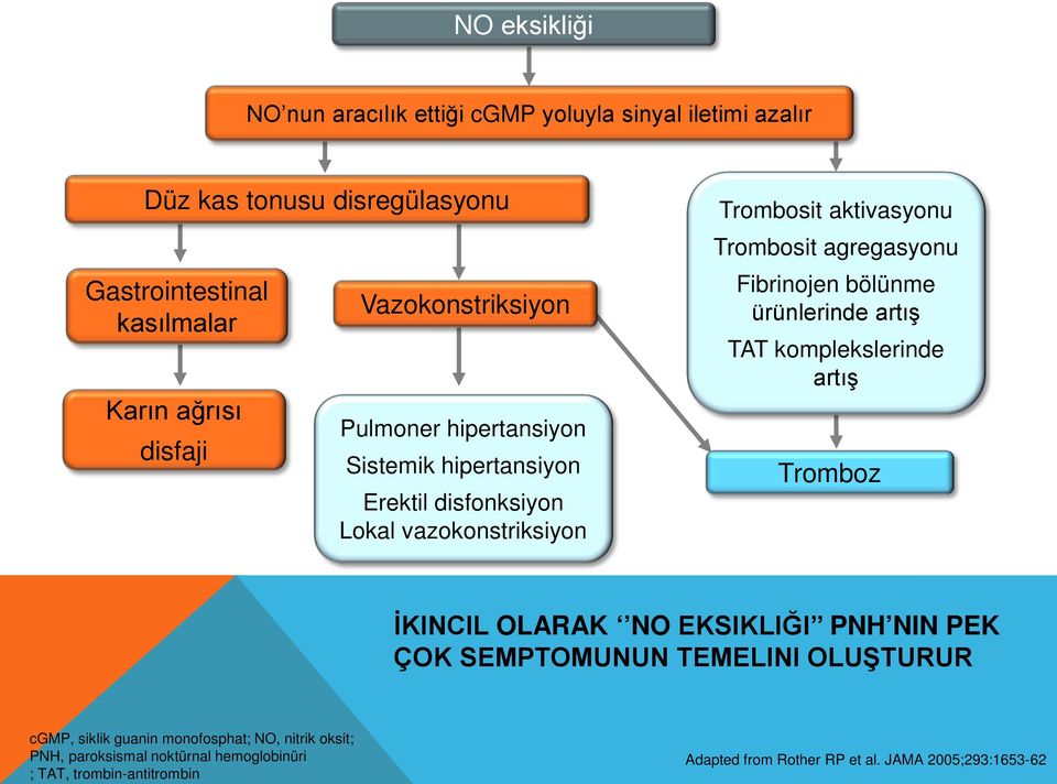 Fibrinojen bölünme ürünlerinde artış TAT komplekslerinde artış Tromboz İKINCIL OLARAK NO EKSIKLIĞI PNH NIN PEK ÇOK SEMPTOMUNUN TEMELINI OLUŞTURUR cgmp,