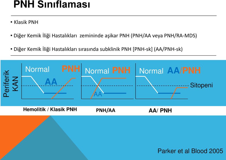 subklinik PNH [PNH-sk] (AA/PNH-sk) Periferik KAN PNH Normal Normal Normal AA